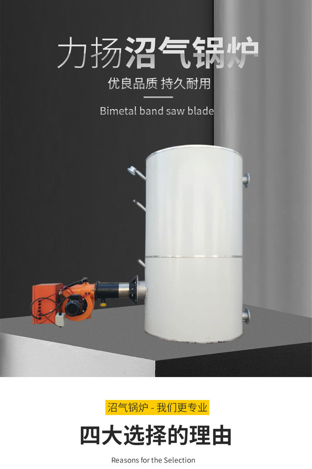 沼气锅炉_01.jpg