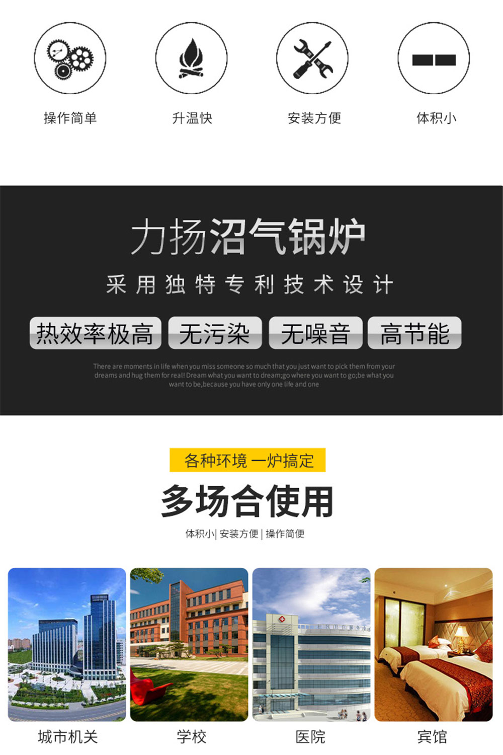 沼气锅炉_02.jpg