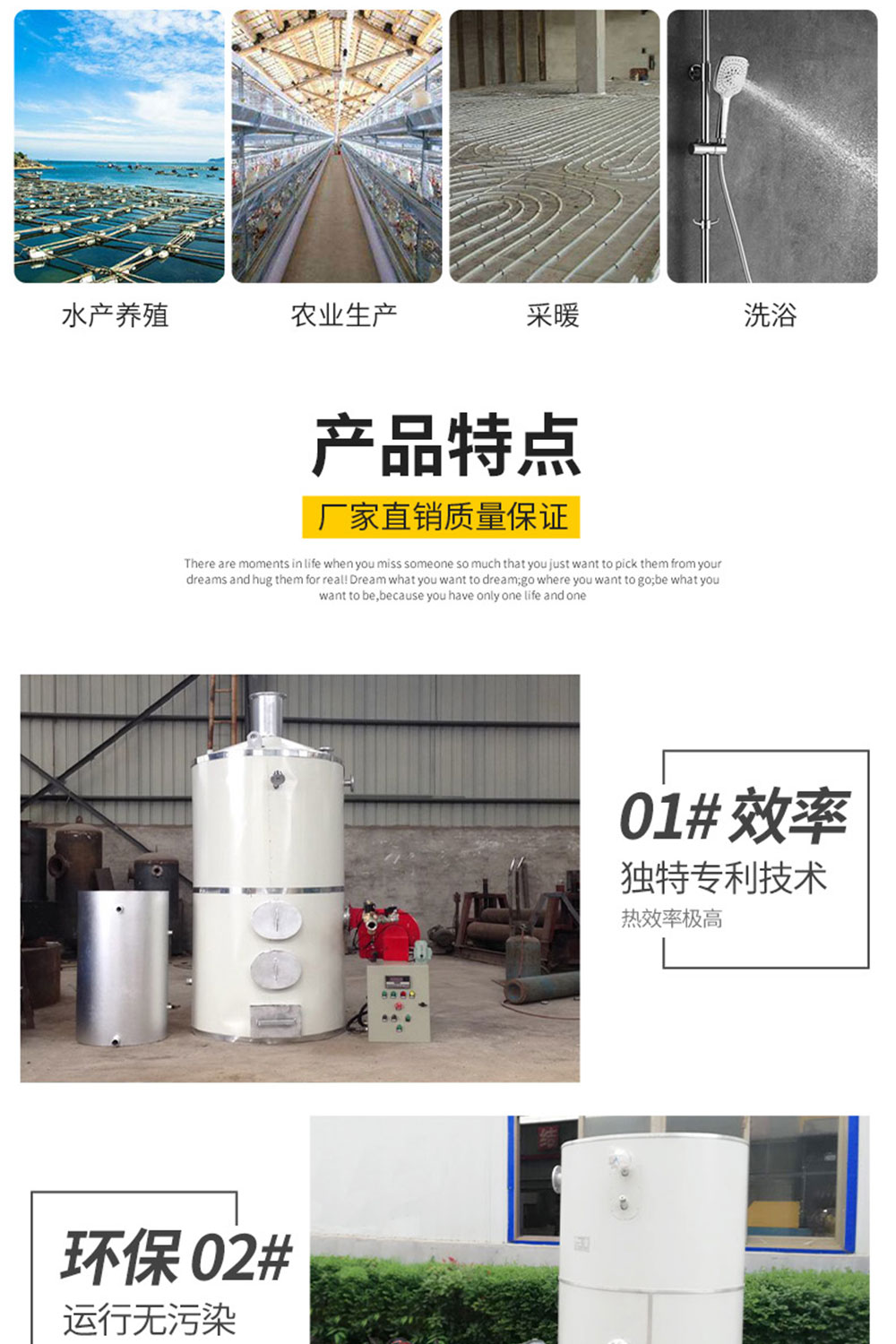沼气锅炉_03.jpg